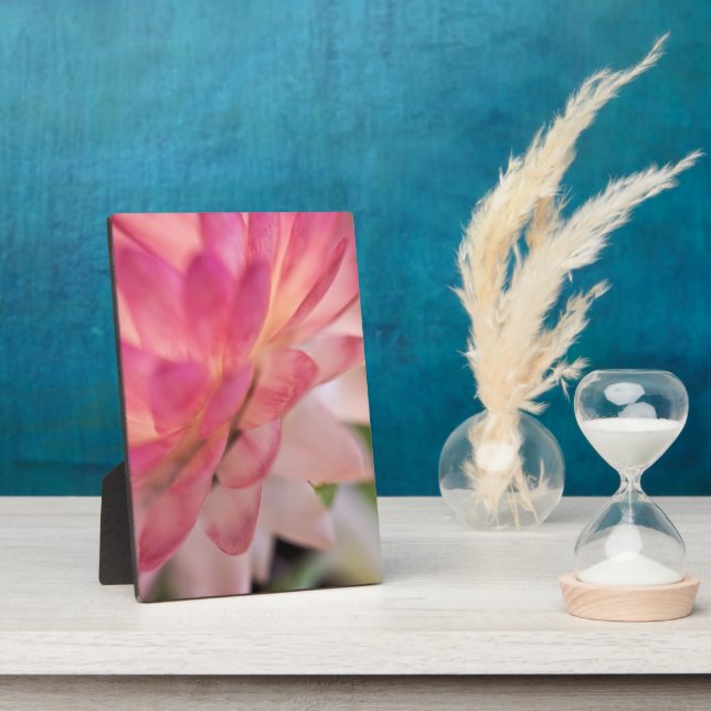 Bright Pink Strawflower Plaque (Side)
