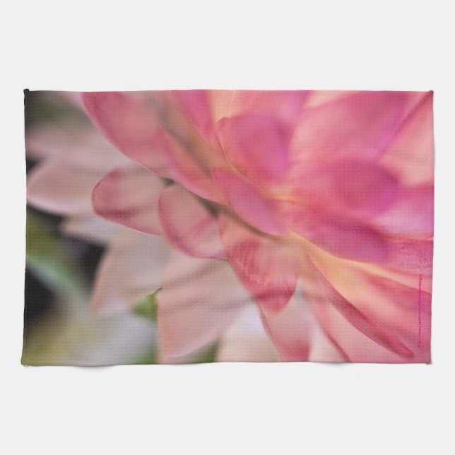 Bright Pink Strawflower Tea Towel (Horizontal)