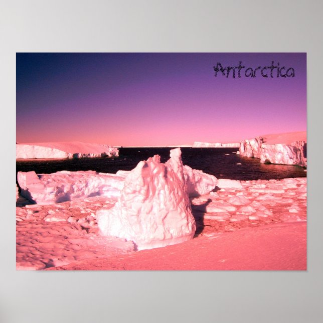 Bright pink sunset in Antarctica photo glaciers Poster (Front)