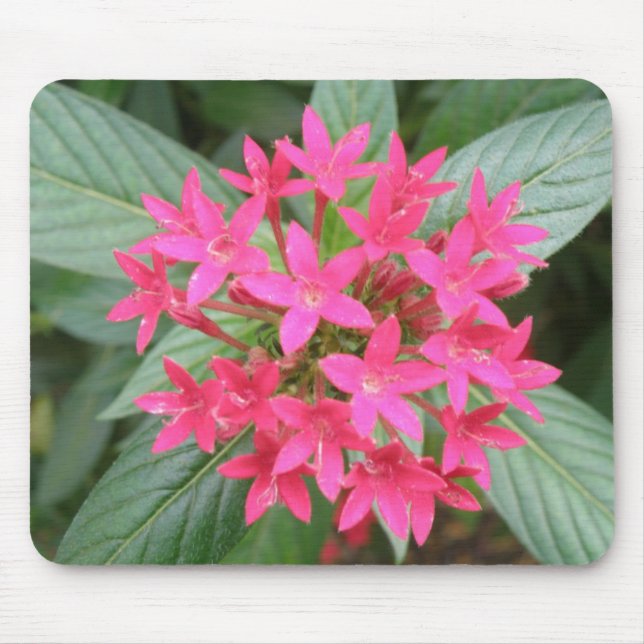 Bright Pink Tropical Flowers Mousepad (Front)