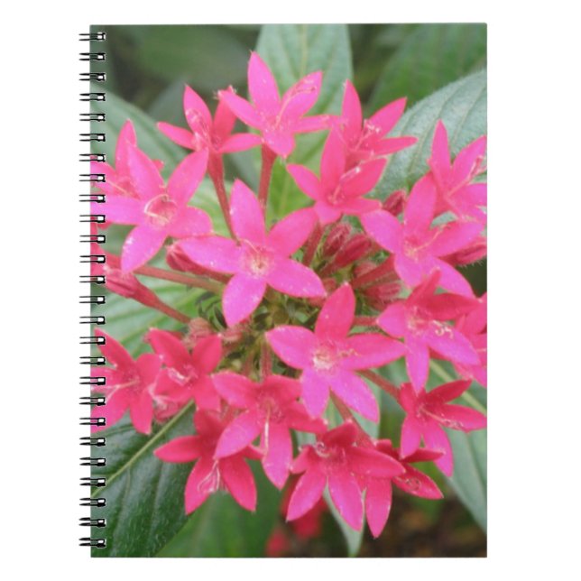 Bright Pink Tropical Flowers Notebook (Front)