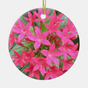 Bright Pink Tropical Flowers Ornaments