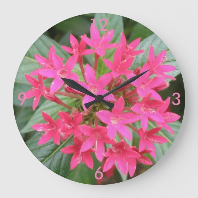 Bright Pink Tropical Flowers Wall Clock (Front)