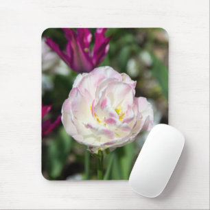 Bright pink tulips on a sunny day mouse pad