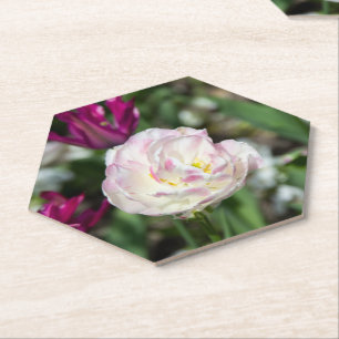 Bright pink tulips on a sunny day paper coaster