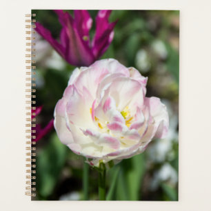 Bright pink tulips on a sunny day planner