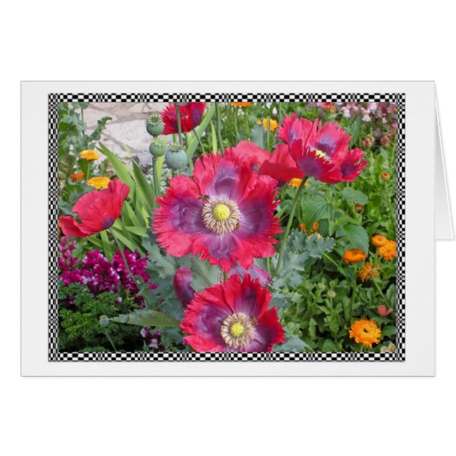 Bright Poppies (Front Horizontal)