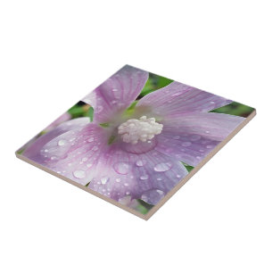 Bright purple ceramic tile