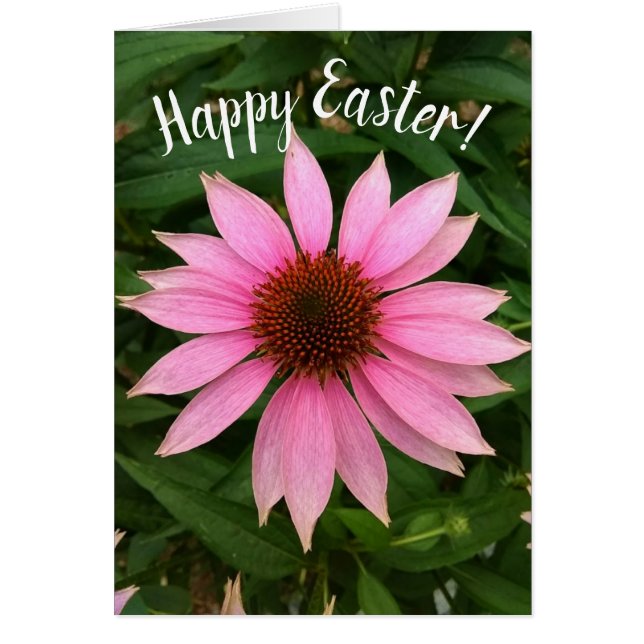Bright Purple Coneflower Easter Card (Front)