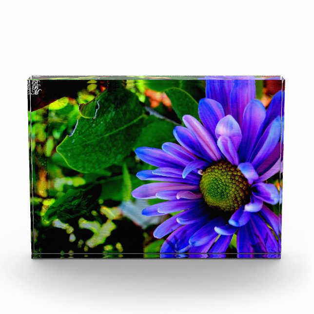 Bright Purple Flower Photo Block (Front)