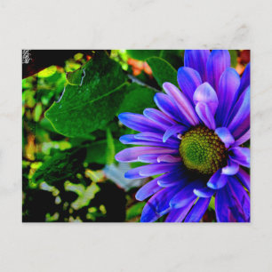 Bright Purple Flower Postcard