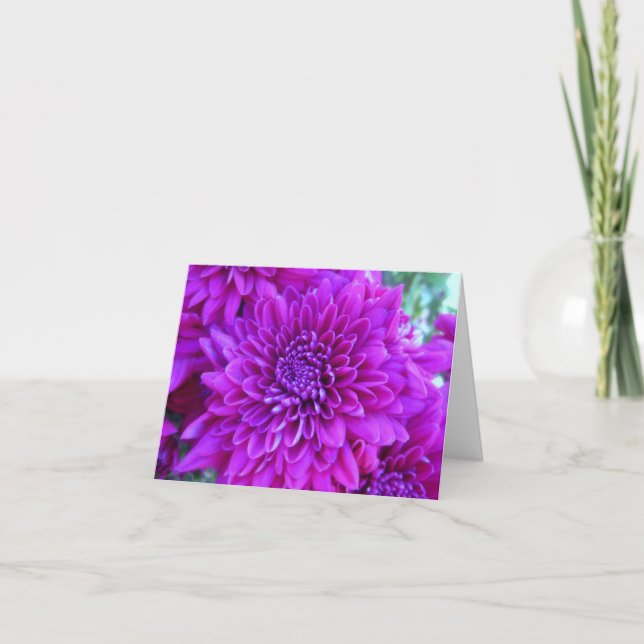 Bright Purple Mums Note Card (Front)