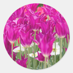 Bright Purple Pink Posies Classic Round Sticker