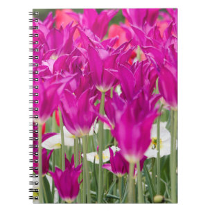 Bright Purple Pink Posies Notebook