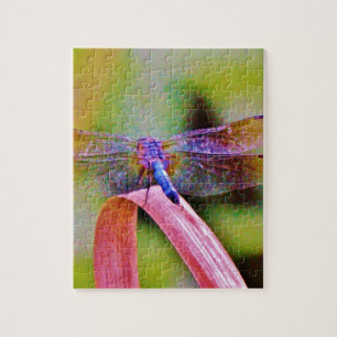 Bright Rainbow Pink Dragonfly Jigsaw Puzzle