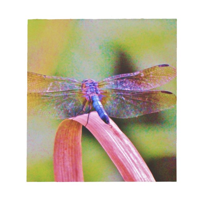 Bright Rainbow Pink Dragonfly Notepad (Front)