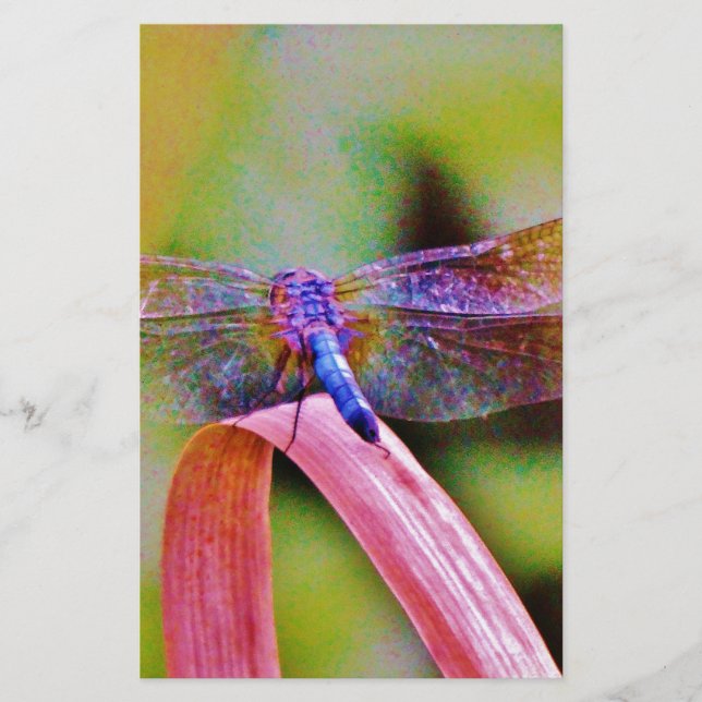 Bright Rainbow Pink Dragonfly Stationery (Front)