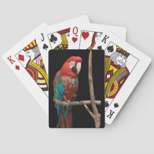 Bright Red and Blue Macaw Bird on Branch Playing Cards