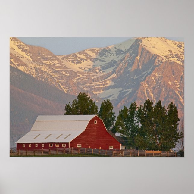 Bright red barn against Mission Mountains in Poster (Front)