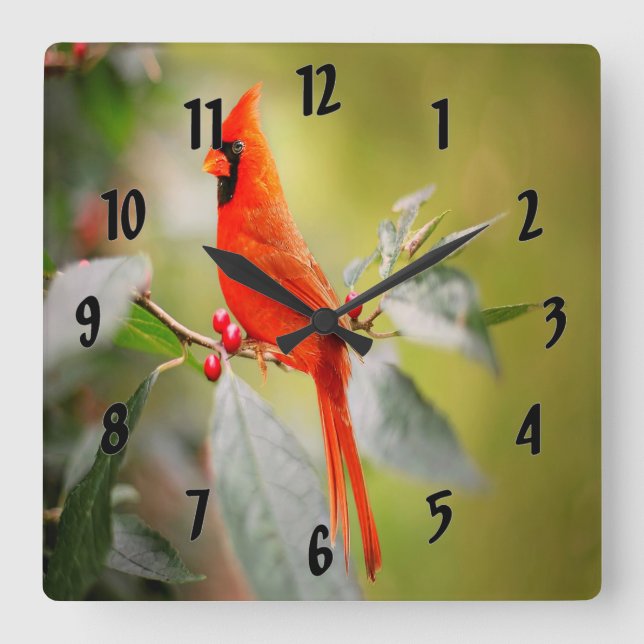 Bright Red Cardinal Square Wall Clock (Front)