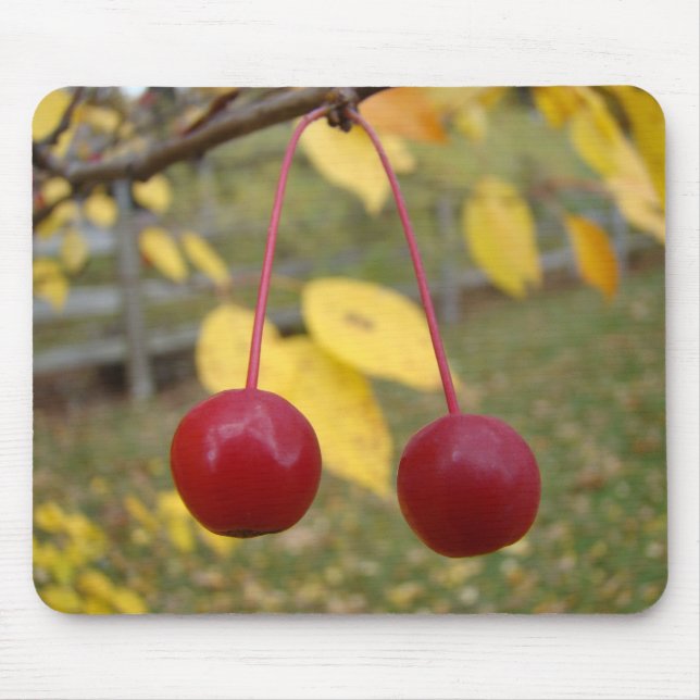 Bright Red Crab Apples Mousepad (Front)