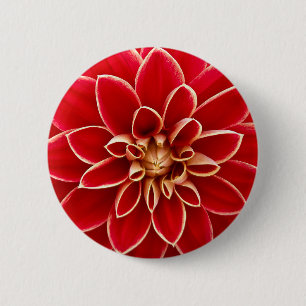Bright Red Dahlia 6 Cm Round Badge