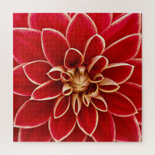 Bright Red Dahlia Closeup Jigsaw Puzzle
