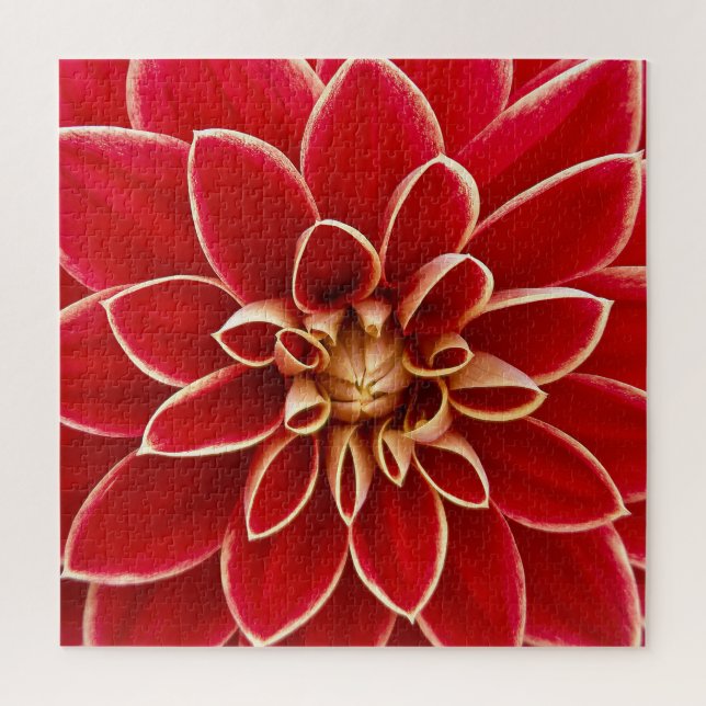 Bright Red Dahlia Closeup Jigsaw Puzzle (Vertical)