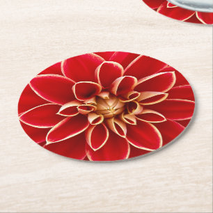 Bright Red Dahlia Flower Round Paper Coaster