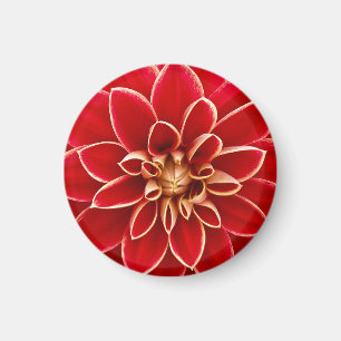 Bright Red Dahlia Magnet