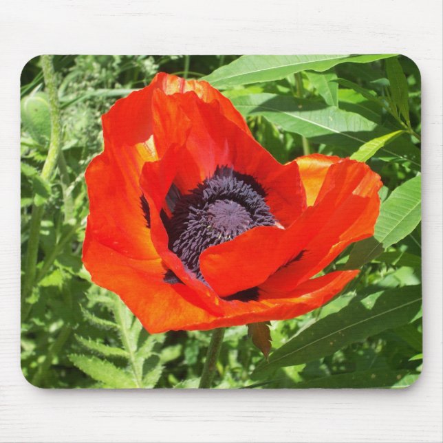 Bright Red Flower On Green Mouse Pad (Front)