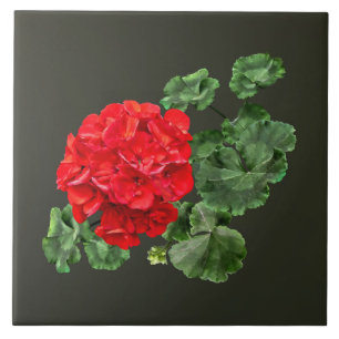 Bright Red Geranium Ceramic Tile