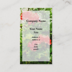 Bright Red Geraniums Business Card