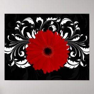 Bright Red Gerbera Daisy on Black Poster