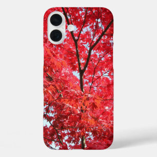 Bright Red Japanese Maple Tree iPhone 16 Plus Case