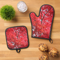 Bright Red Japanese Maple Tree