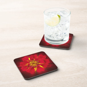 bright red marigold coaster