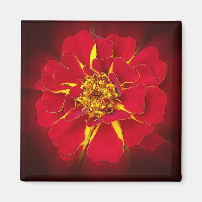 bright red marigold magnet (Front)