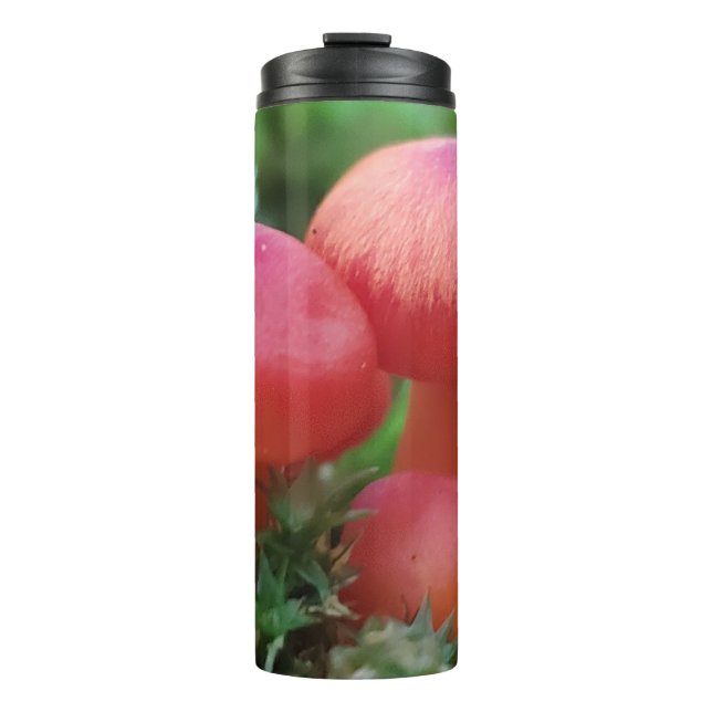 Bright Red Mushrooms on Forest Floor Thermal Tumbler (Front)