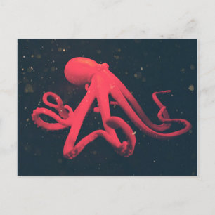Bright Red Octopus Postcard