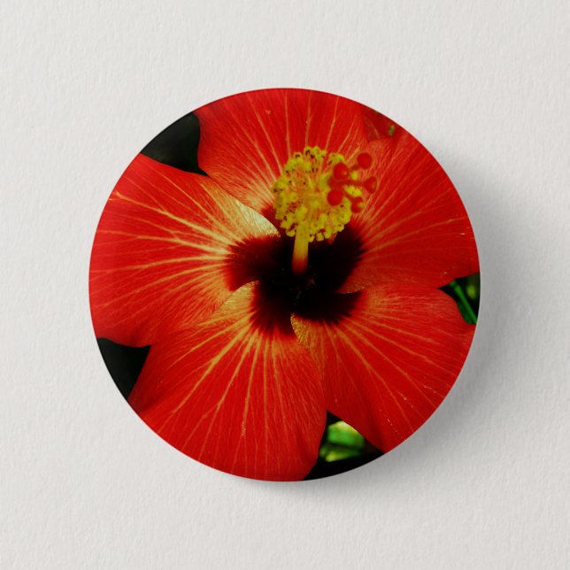 Bright Red Orange  Hibiscus Flower 6 Cm Round Badge (Front)
