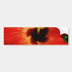 Bright Red Orange  Hibiscus Flower Bumper Sticker