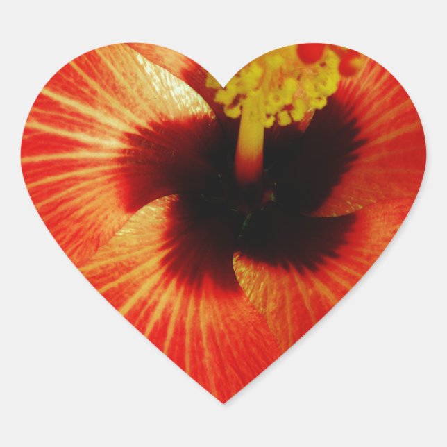 Bright Red Orange  Hibiscus Flower Heart Sticker (Front)