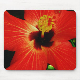 Bright Red Orange  Hibiscus Flower Mouse Pad