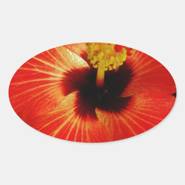 Bright Red Orange  Hibiscus Flower Oval Sticker (Front)