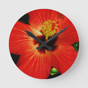Bright Red Orange  Hibiscus Flower Round Clock