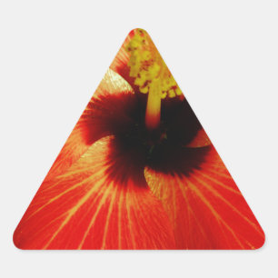 Bright Red Orange  Hibiscus Flower Triangle Sticker