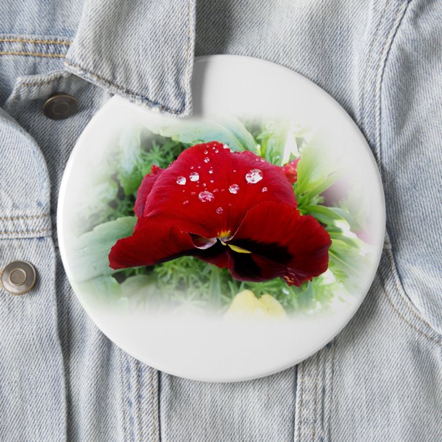 Bright red pansy 6 cm round badge (In Situ)