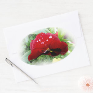 Bright red pansy oval sticker