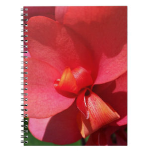 bright red petals notebook
